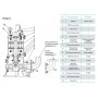 Насос канализационный CNP 100WQ60-9-3AC(I) 3кВт 3х380В чугунный с автоматической трубной муфтой DN 100 кабель 9м 40гр.
