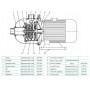 Многоступенчатый насос CNP CHL 2-20 LSWSR Многоступенчатый насос CNP CHL 2-20 LSWSR